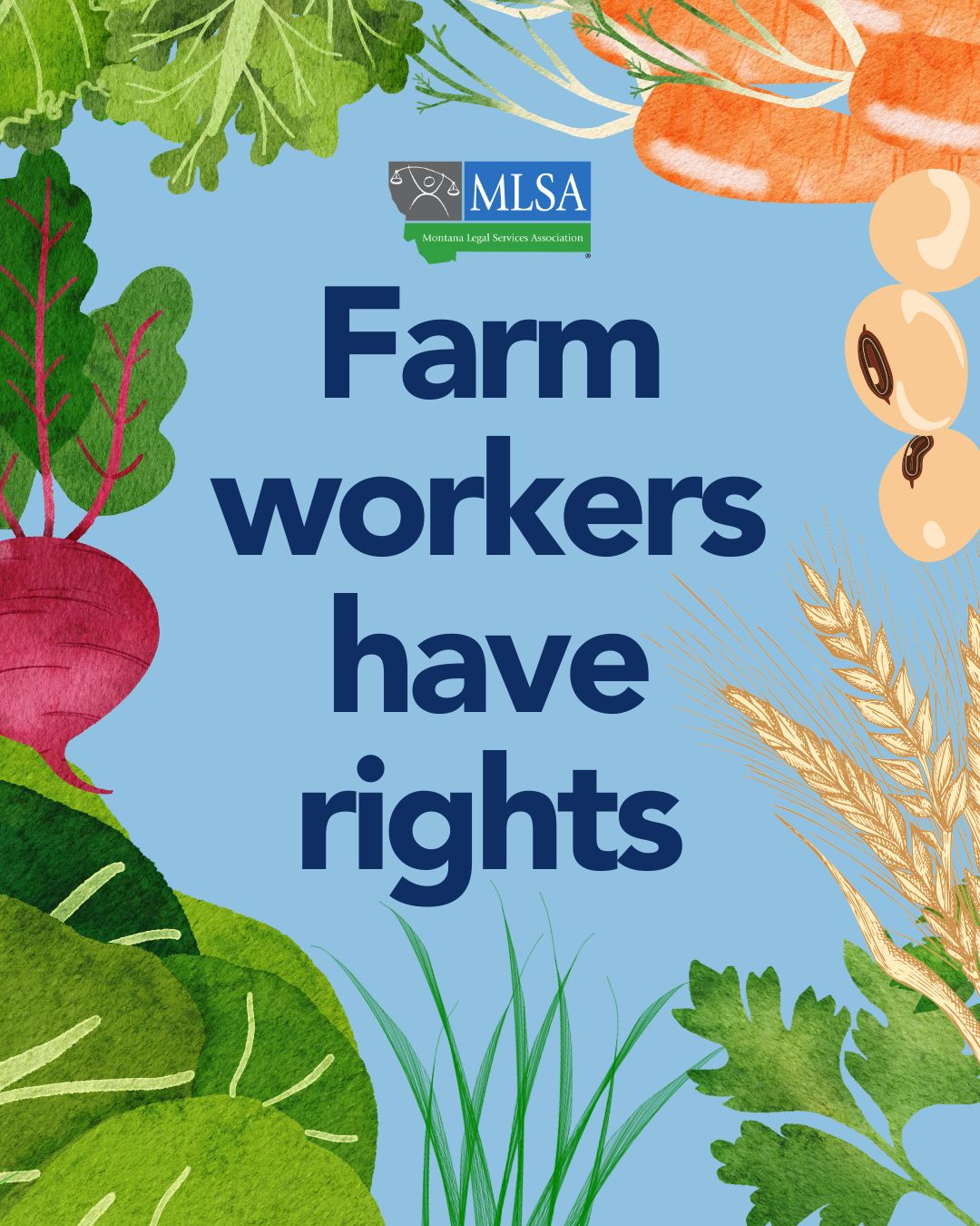 Text that reads, "Farm workers have rights" surrounded by vegetables.